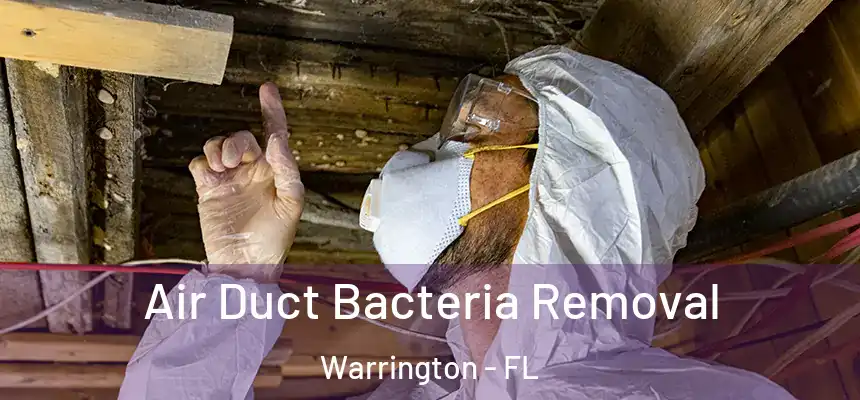 Air Duct Bacteria Removal Warrington - FL