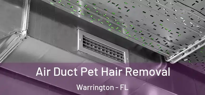 Air Duct Pet Hair Removal Warrington - FL
