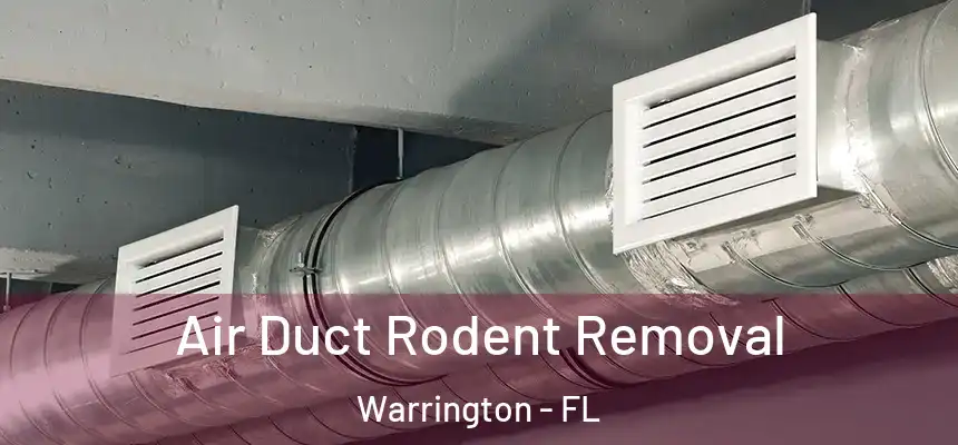 Air Duct Rodent Removal Warrington - FL