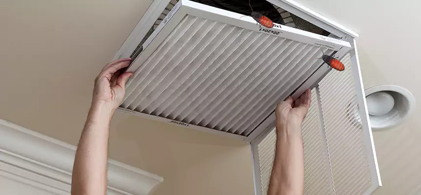 Preventive Cockroach-Proofing for Ducts in Warrington