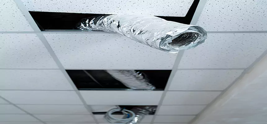 Affordable HVAC Sanitizing After Pest Removal in Warrington