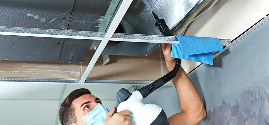 Our Air Duct Rodent Removal Services in Warrington, FL