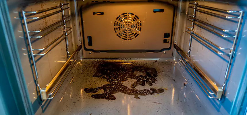 Our Dryer Vent Mold Cleaning Services in Warrington, FL