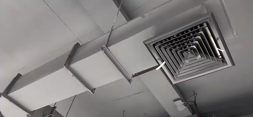 Our Pest Removal From Ducts Services in Warrington, FL