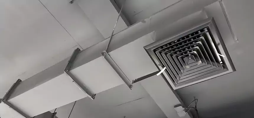 Our Rodent Droppings In Vents Services in Warrington, FL