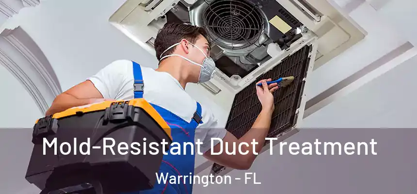 Mold-Resistant Duct Treatment Warrington - FL