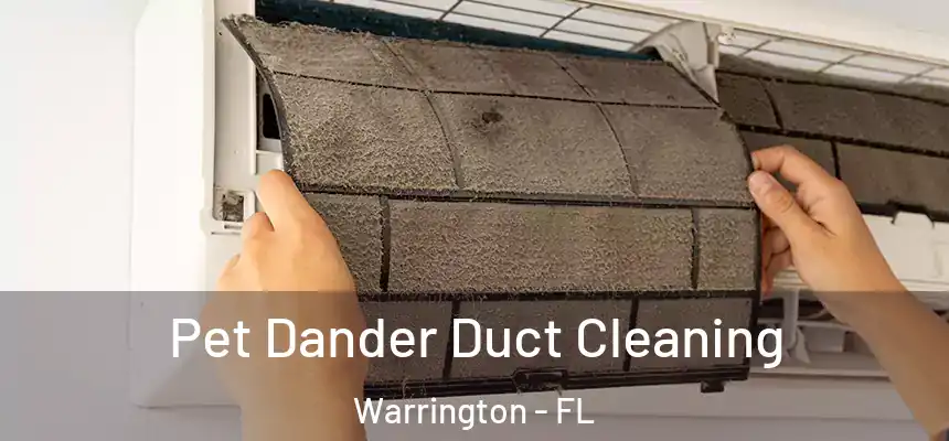 Pet Dander Duct Cleaning Warrington - FL