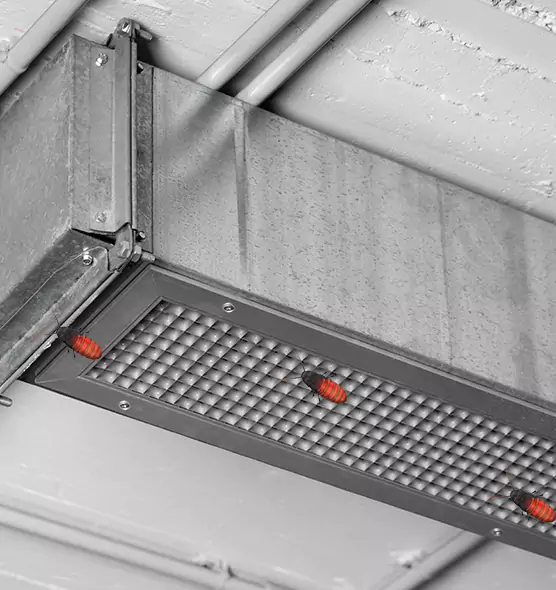 About Air Duct Cockroach Removal in Warrington, FL