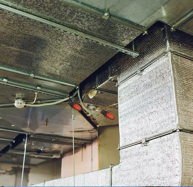 Why Homeowners & Businesses Trust Us in Warrington, FL?