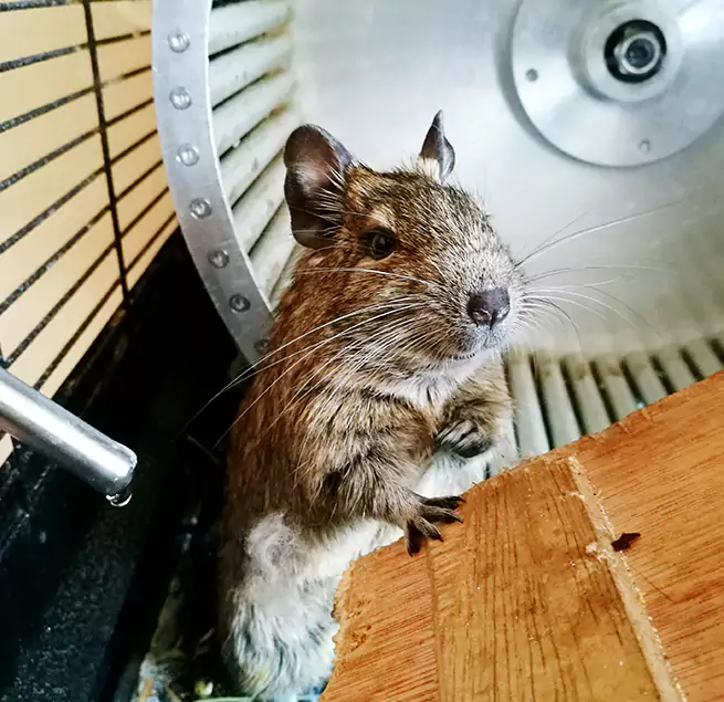 Why Homeowners & Businesses Trust Us Warrington, FL