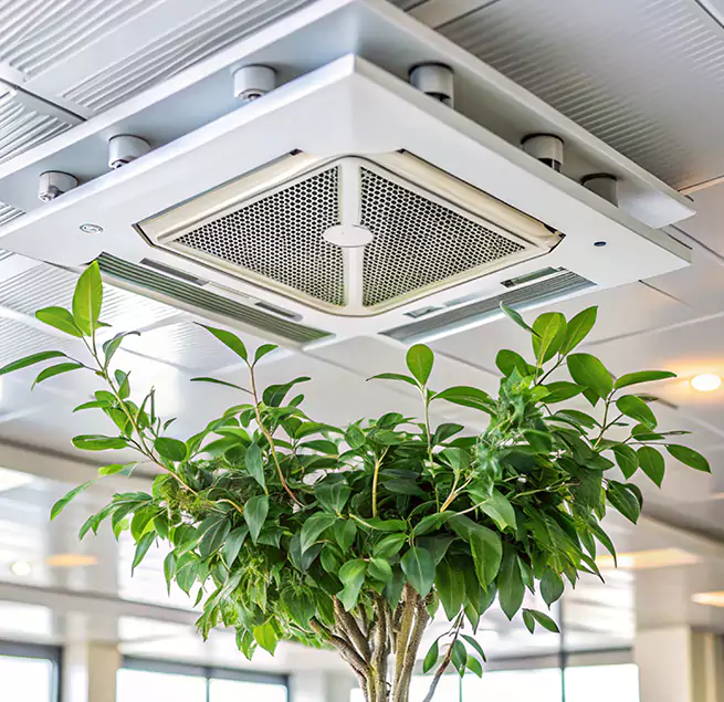 Why Homeowners & Businesses Trust Us in Warrington, FL