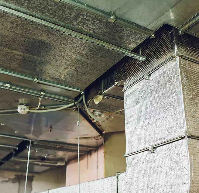 Why Homeowners & Businesses Trust Us in Warrington, FL?